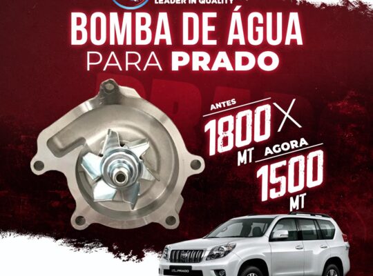 Agosto: Promoção de Bombas de agua para Carros!